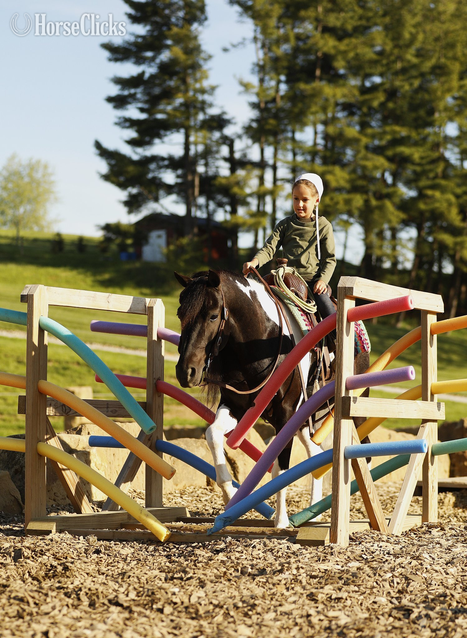 "Marshal" Piebald Gelding Pony