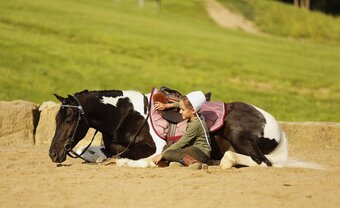 "Marshal" Piebald Gelding Pony