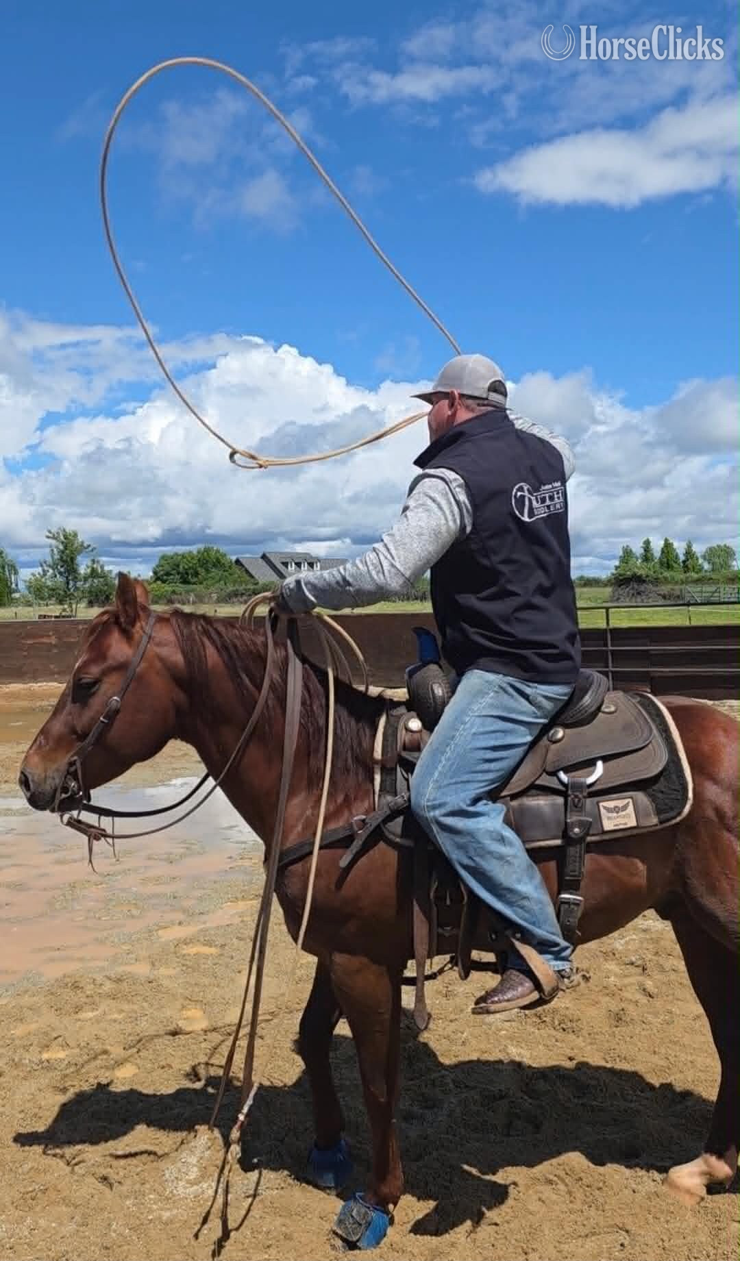 California "DENALI" Sorrel Gelding Quarter Horse