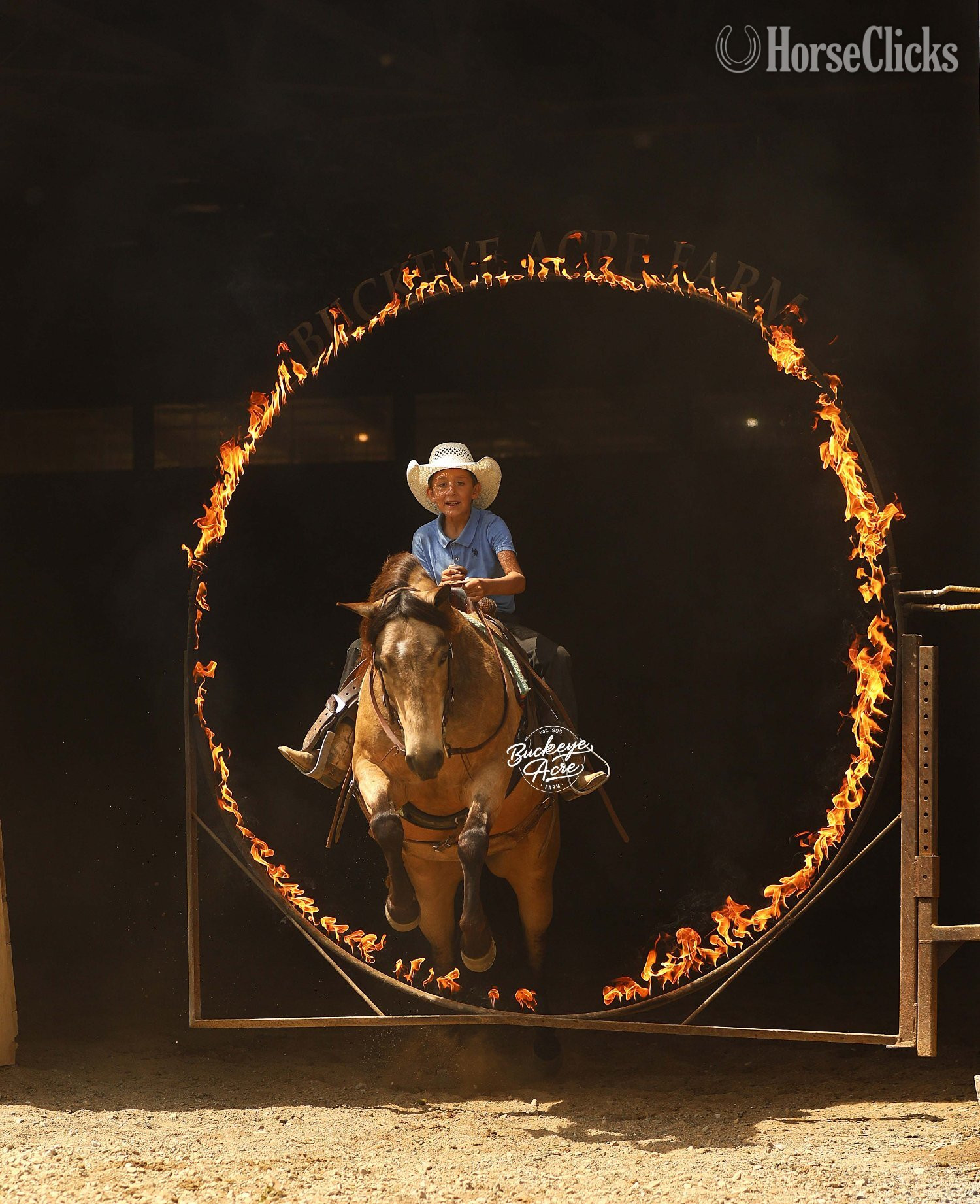 "Legacy" Buckskin Gelding Quarter Pony - Quarter Pony