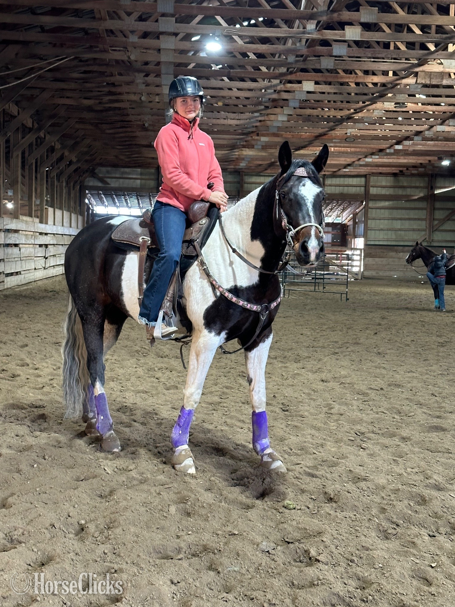 "Wild About Peppe "  Mare Paint