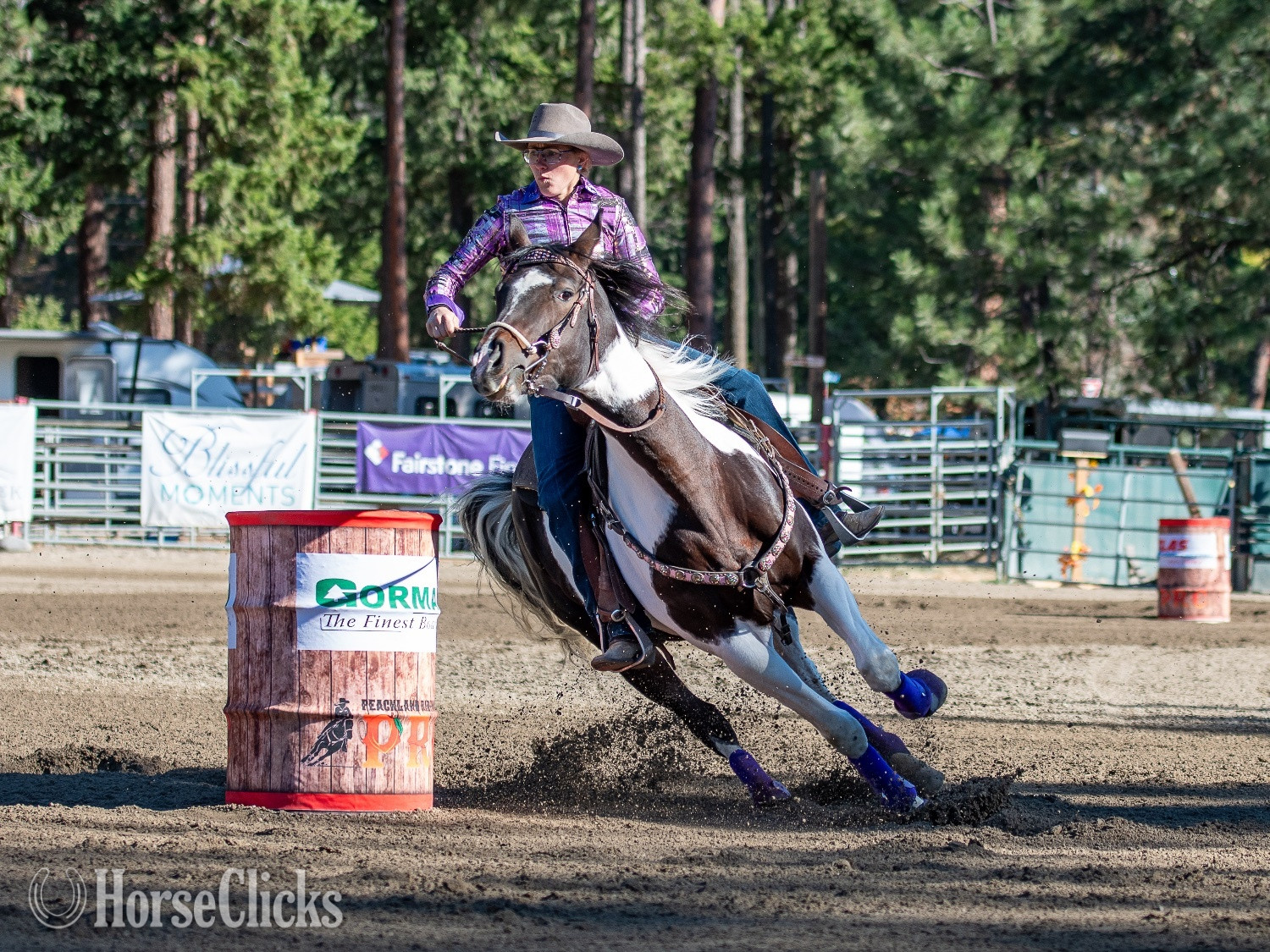 British Columbia "Wild About Peppe "  Mare Paint
