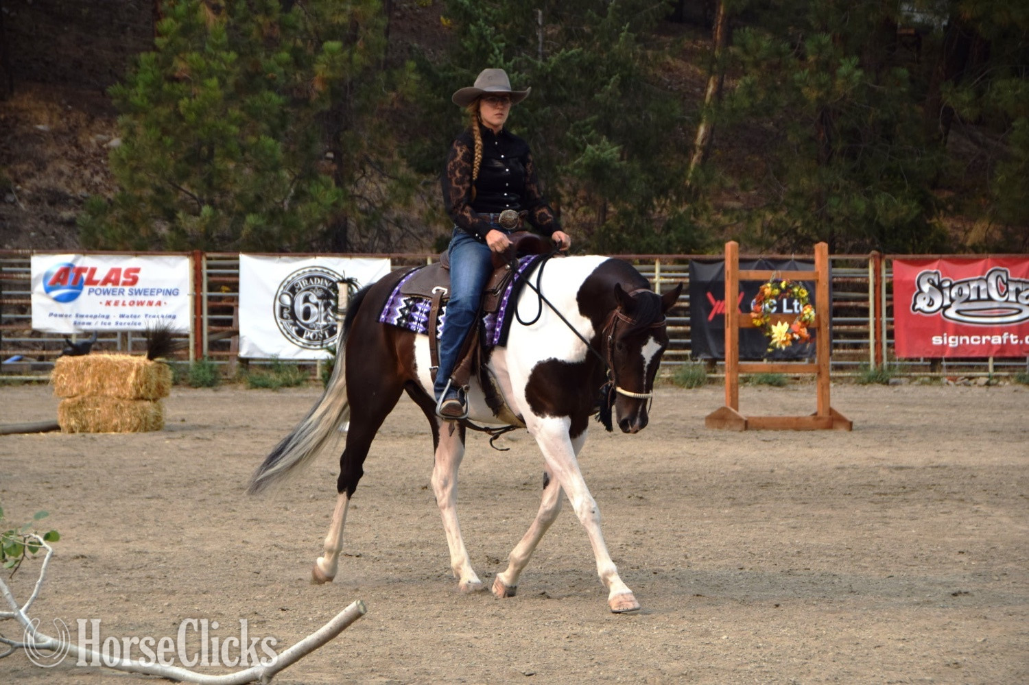 "Wild About Peppe "  Mare Paint British Columbia