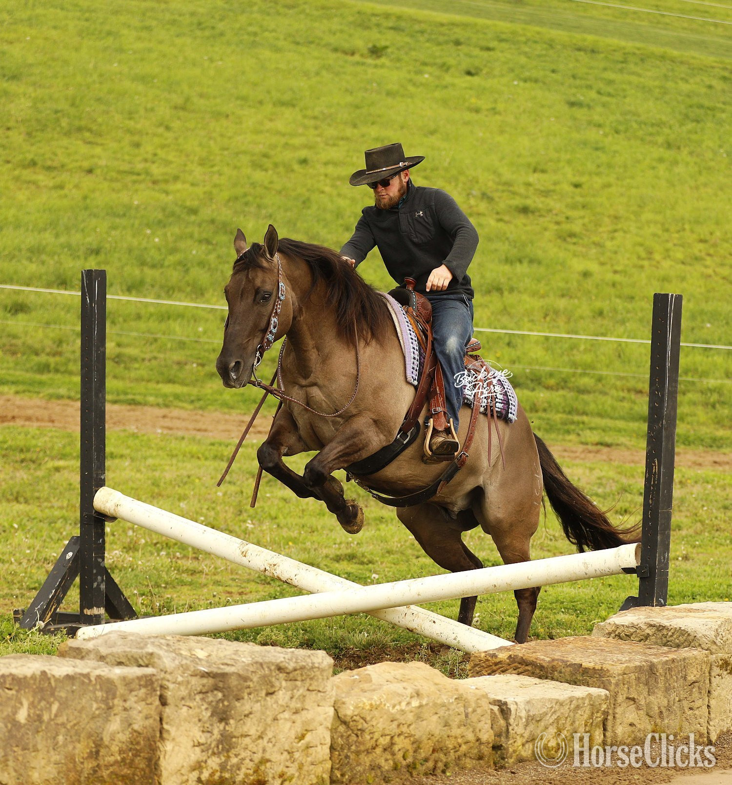 "JK Pat" Grullo Gelding Quarter Horse