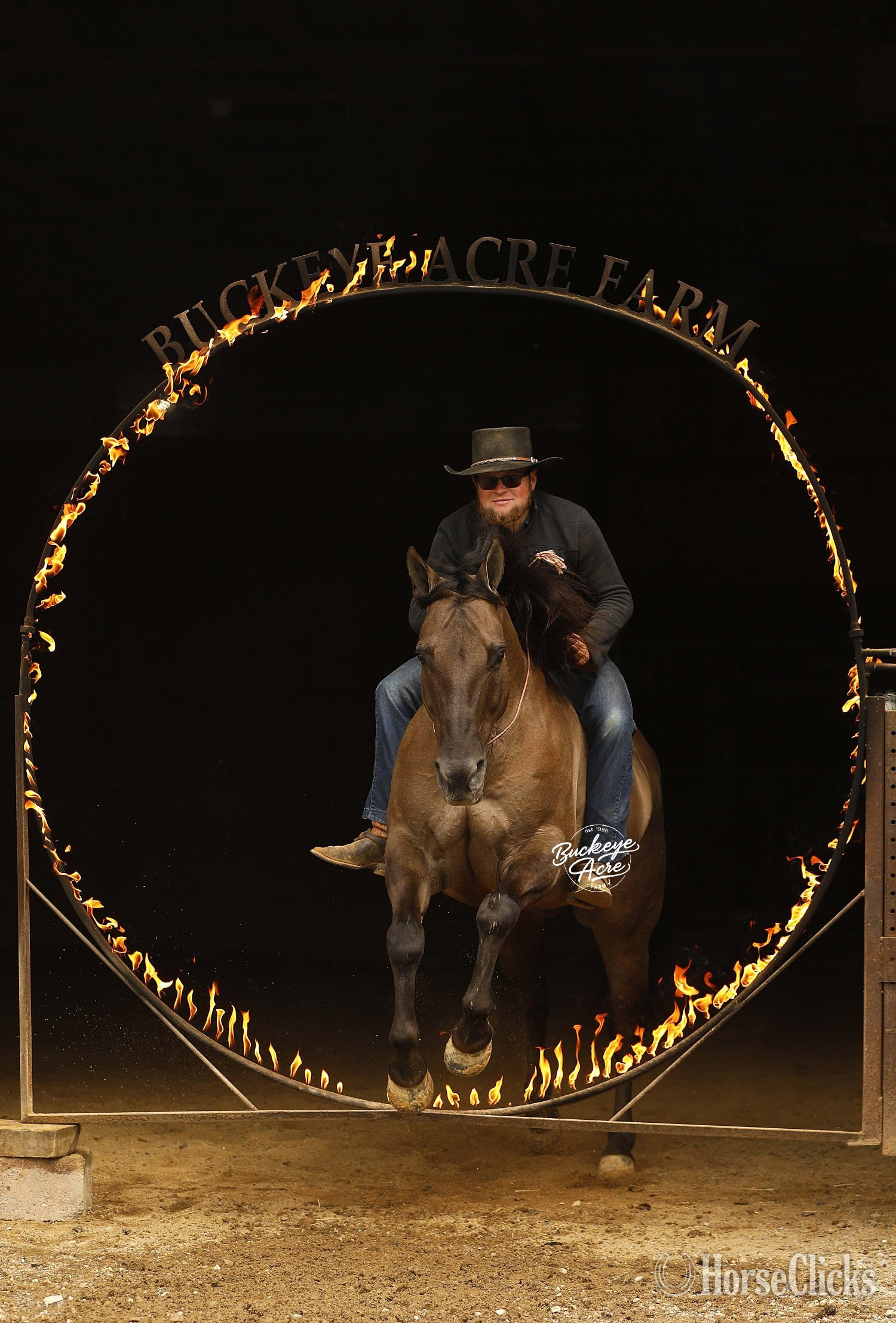 "JK Pat" Grullo Gelding Quarter Horse - Quarter Horse