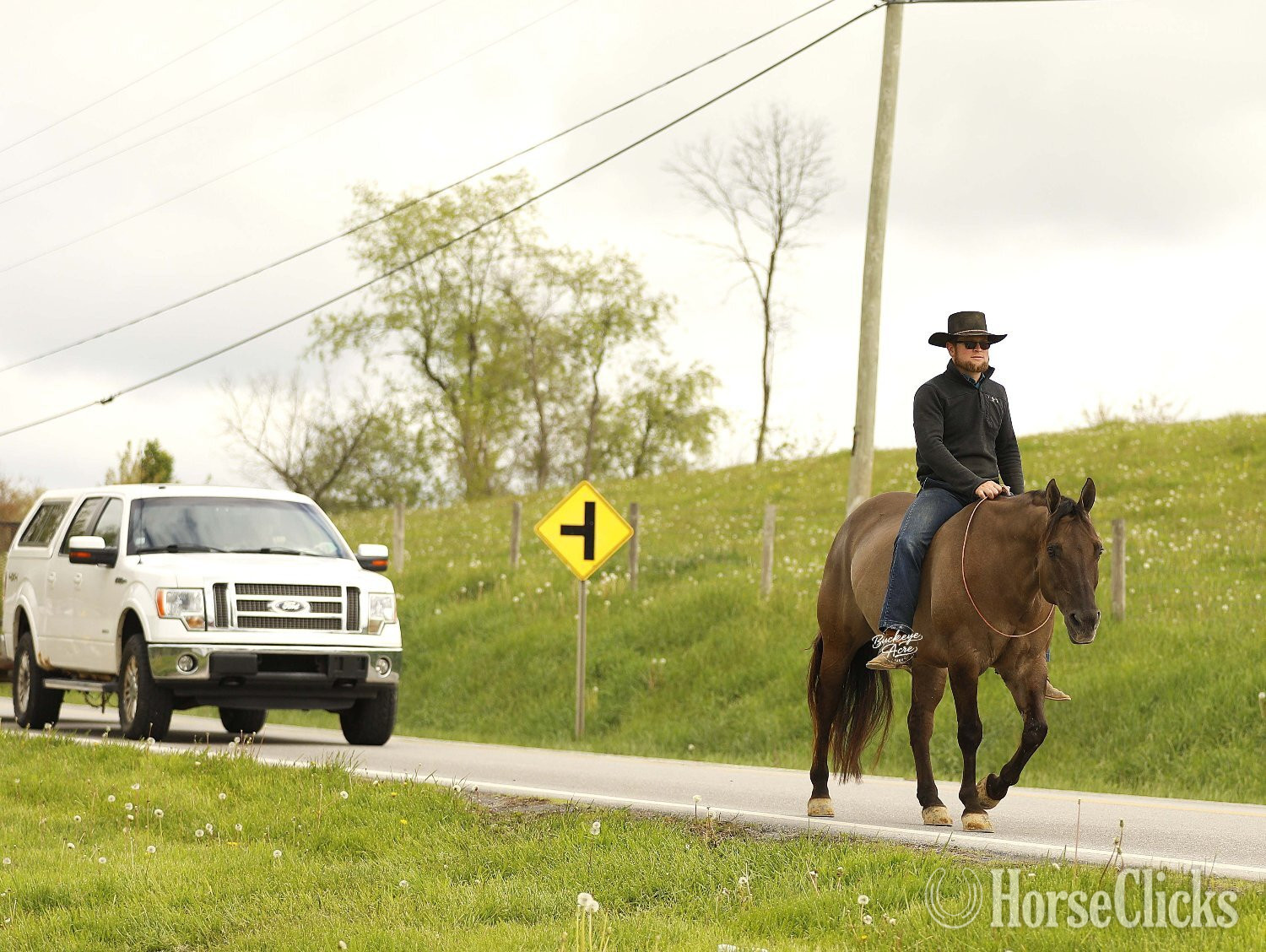"JK Pat" Grullo Gelding Quarter Horse Ohio