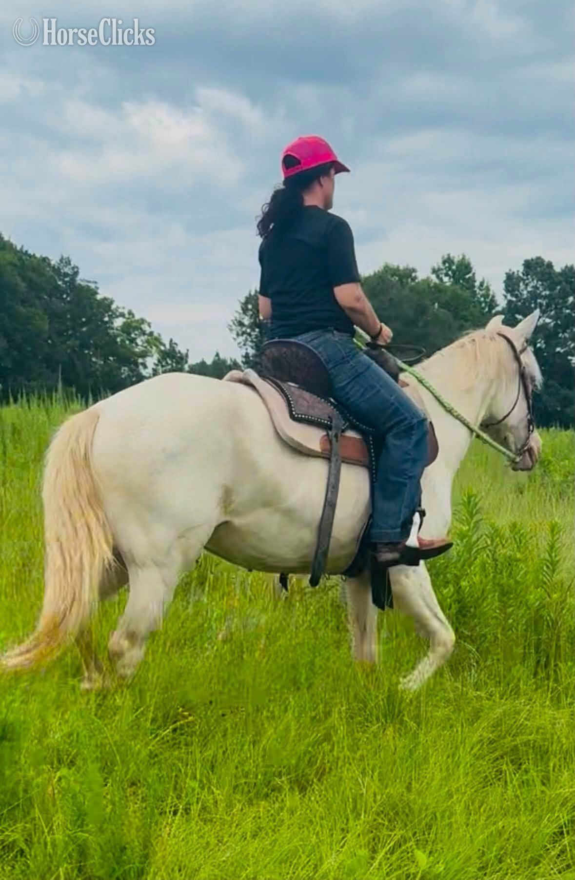 "IVORY KING " Cremello Gelding Quarter Horse