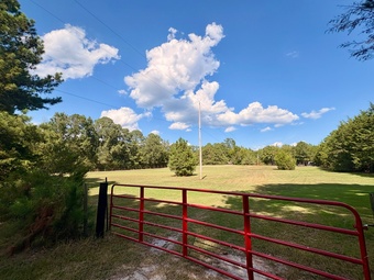 Private Horse Boarding - Hybrid Pasture