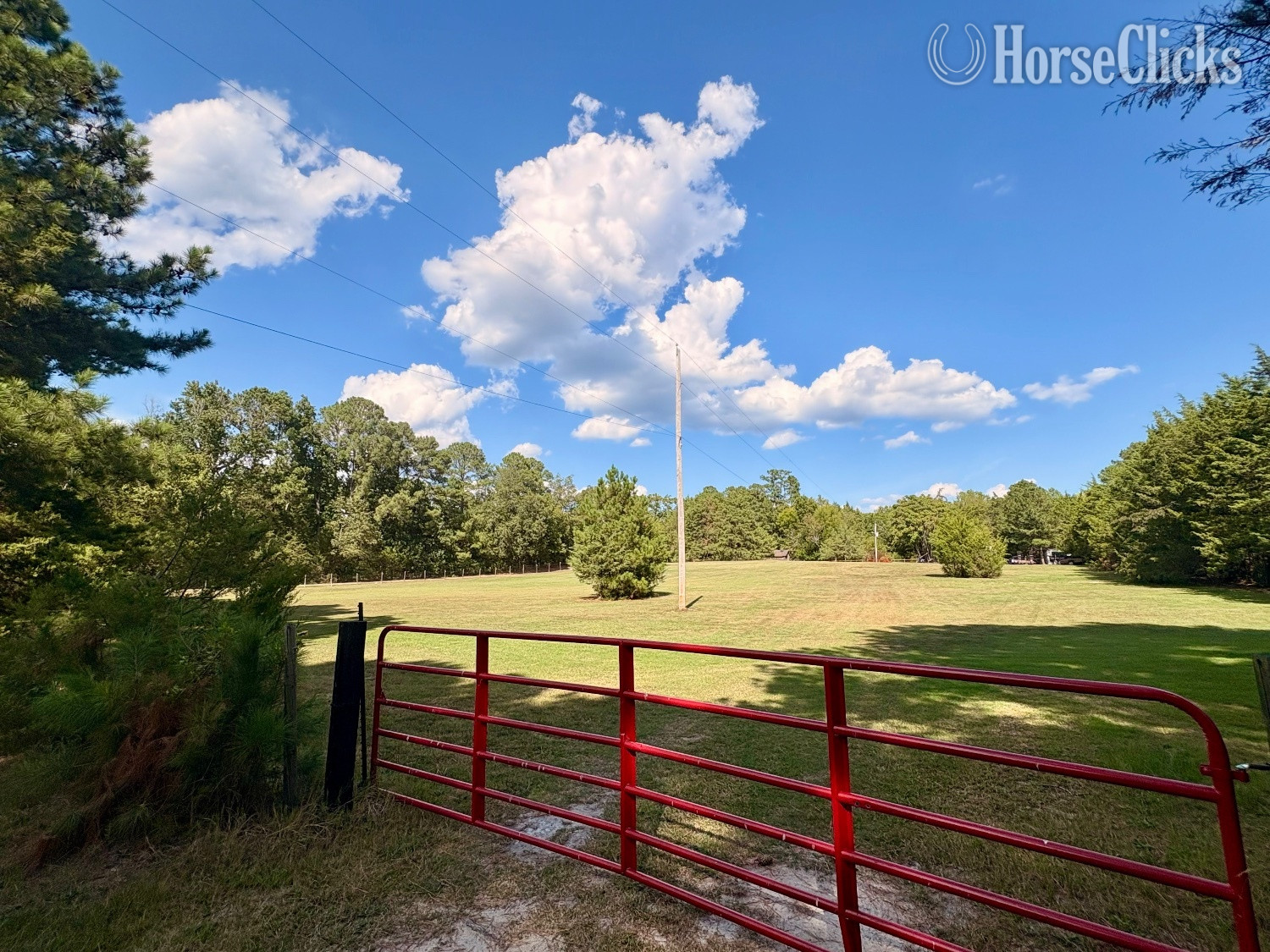Private Horse Boarding - Hybrid Pasture in North Carolina