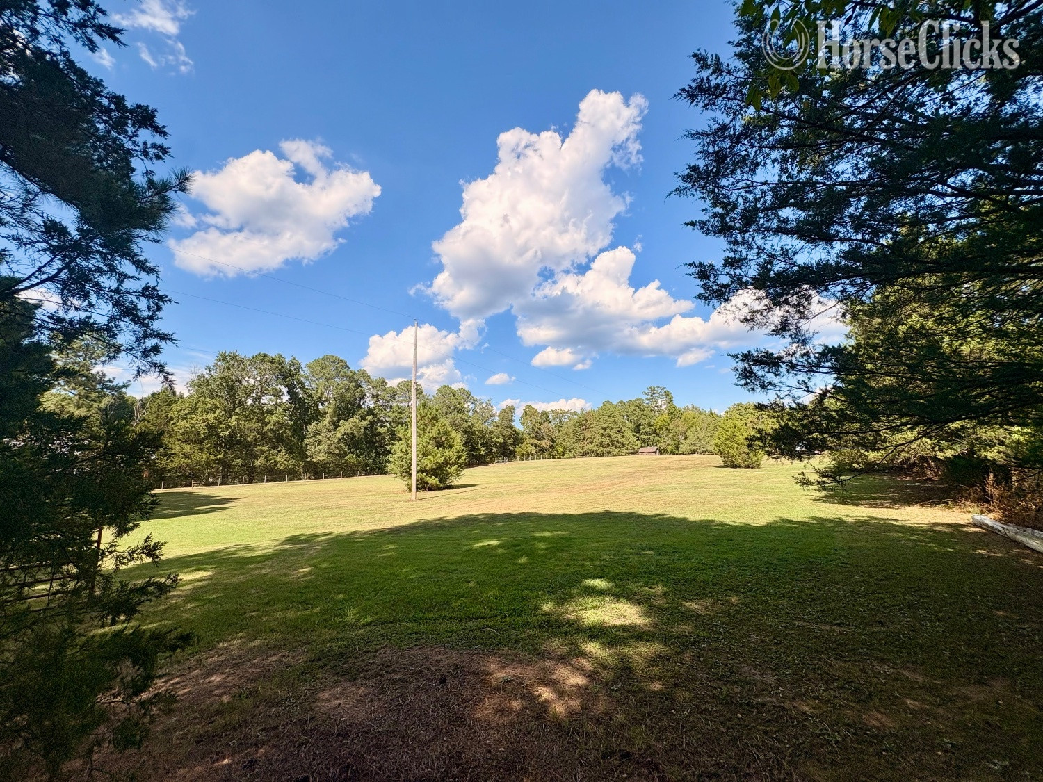 Private Horse Boarding - Hybrid Pasture