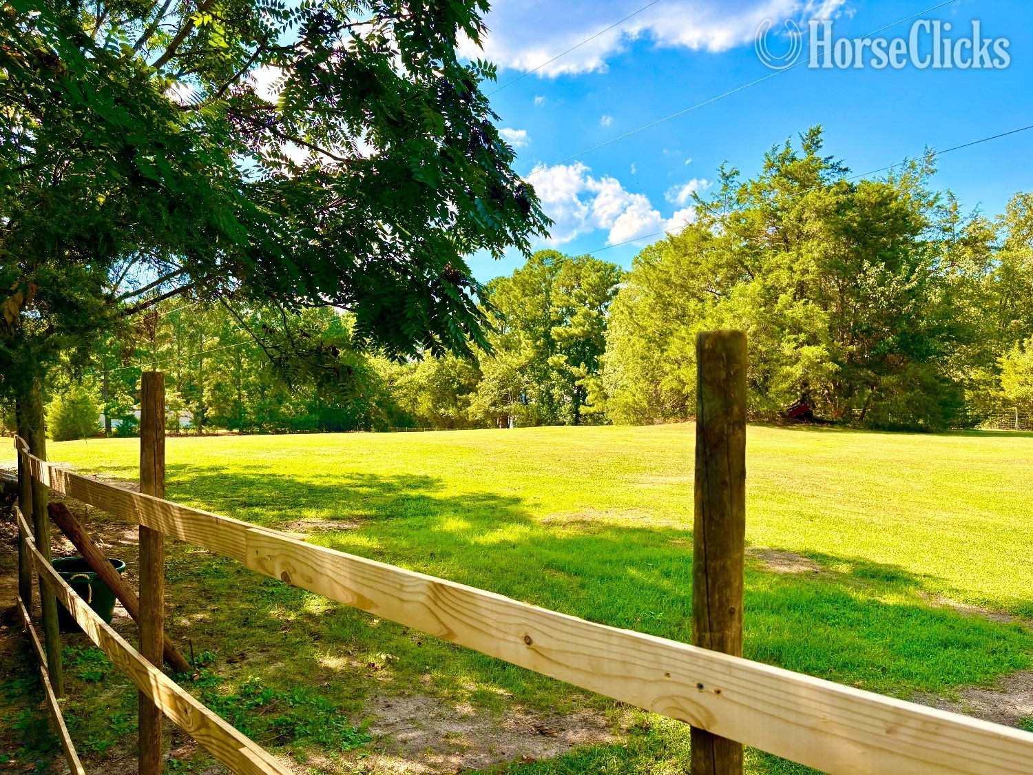 Private Horse Boarding - Hybrid Pasture - Land For Rent in North Carolina