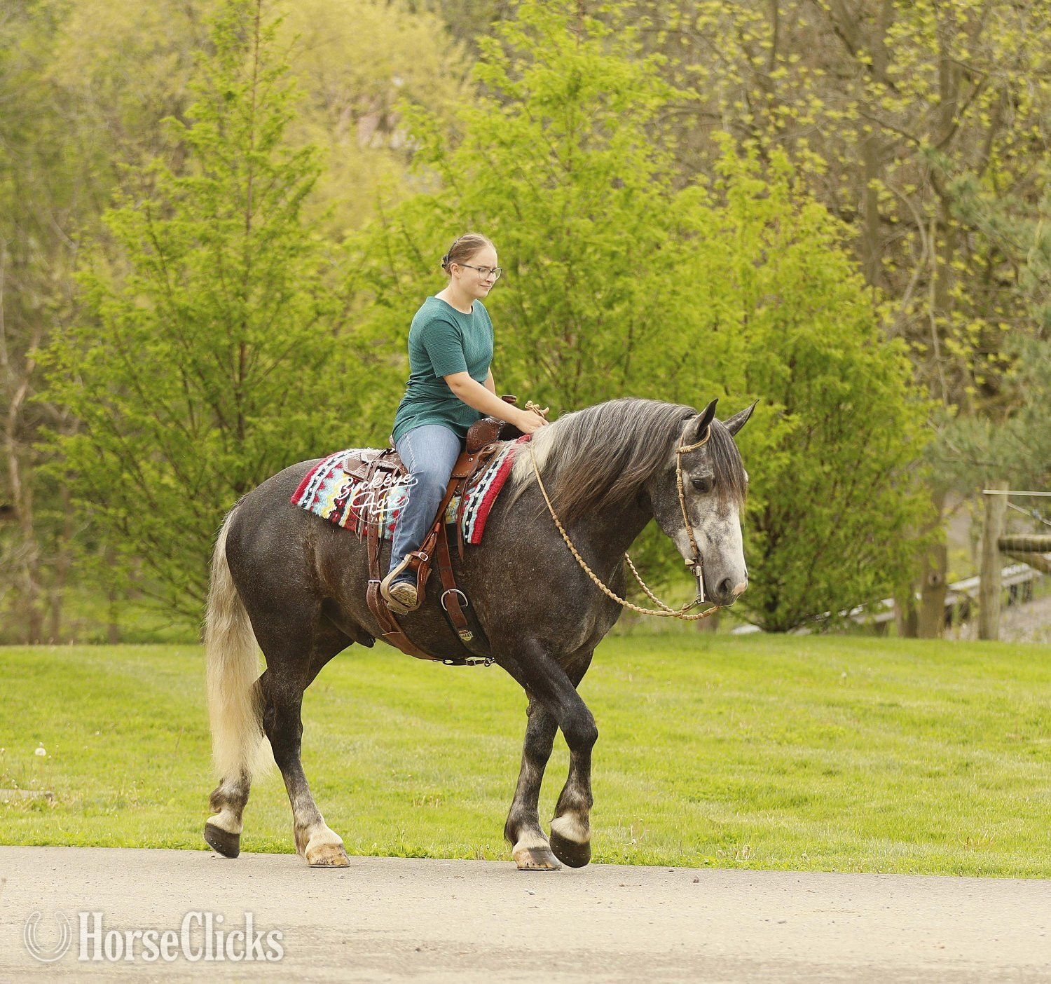 "Journey" Grey Gelding Draft - Draft
