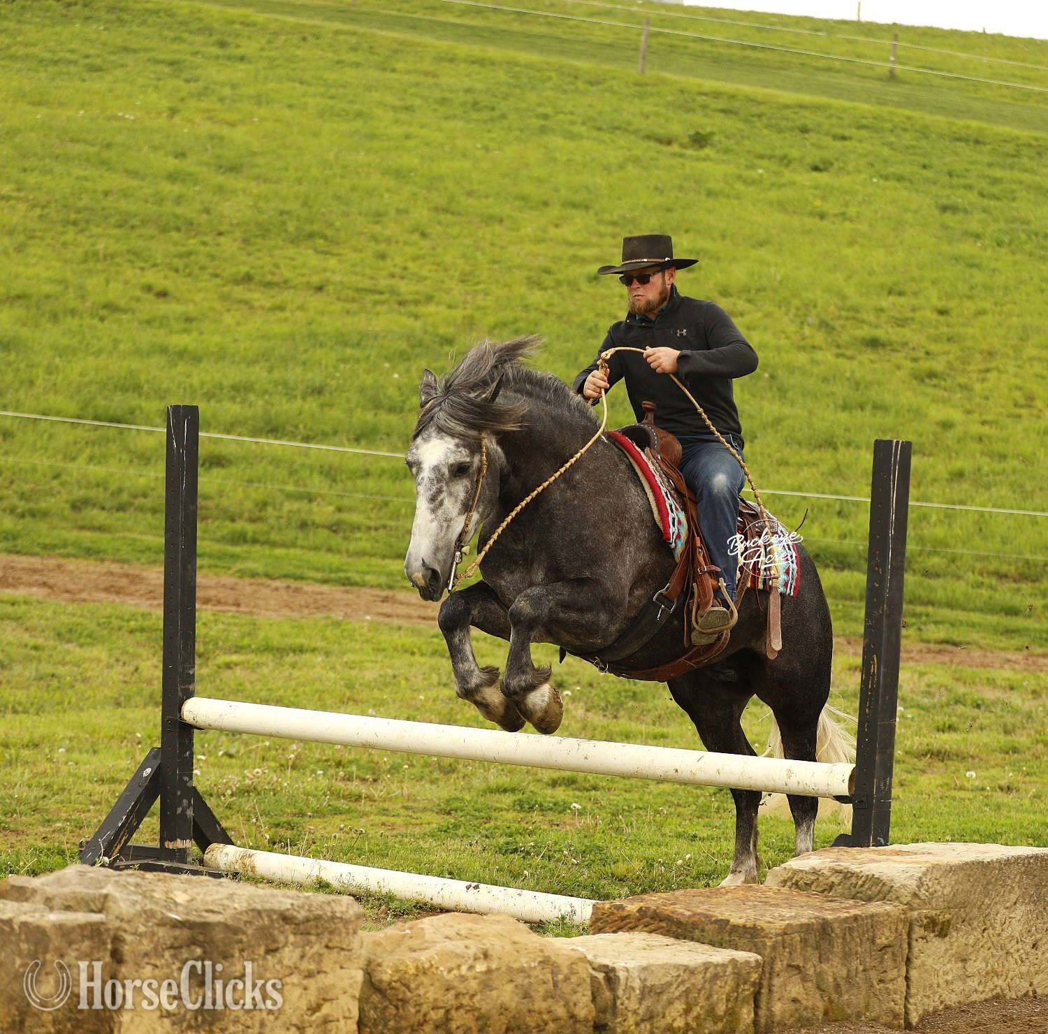 Draft - "Journey" Grey Gelding Draft in Ohio