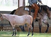 "Valentine" Bay Roan Mare Quarter Horse