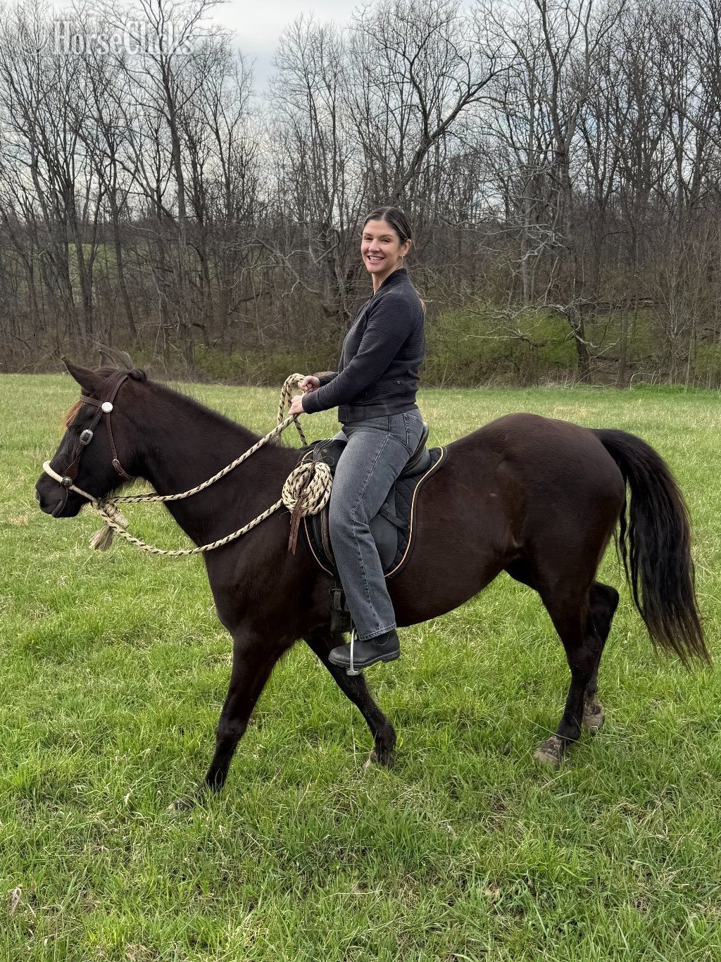 "Whitney" Black Mare Rocky Mountain - Rocky Mountain in Kentucky