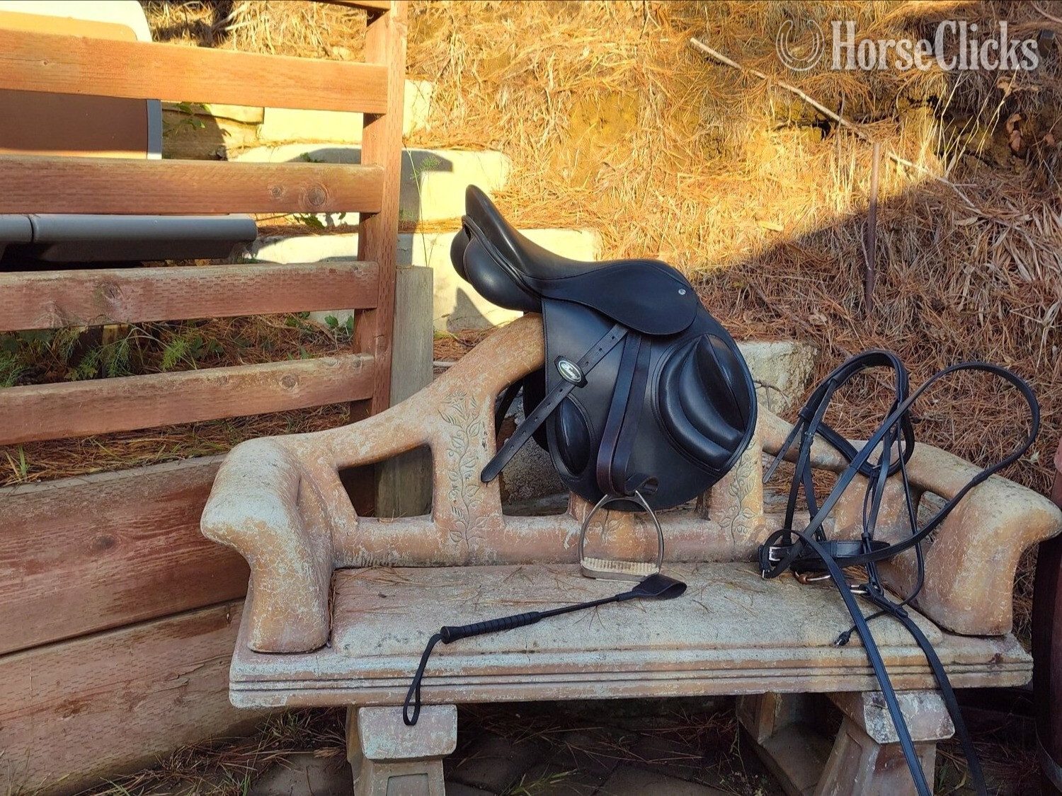  - Bay 16.3hh Gelding for Lease in California