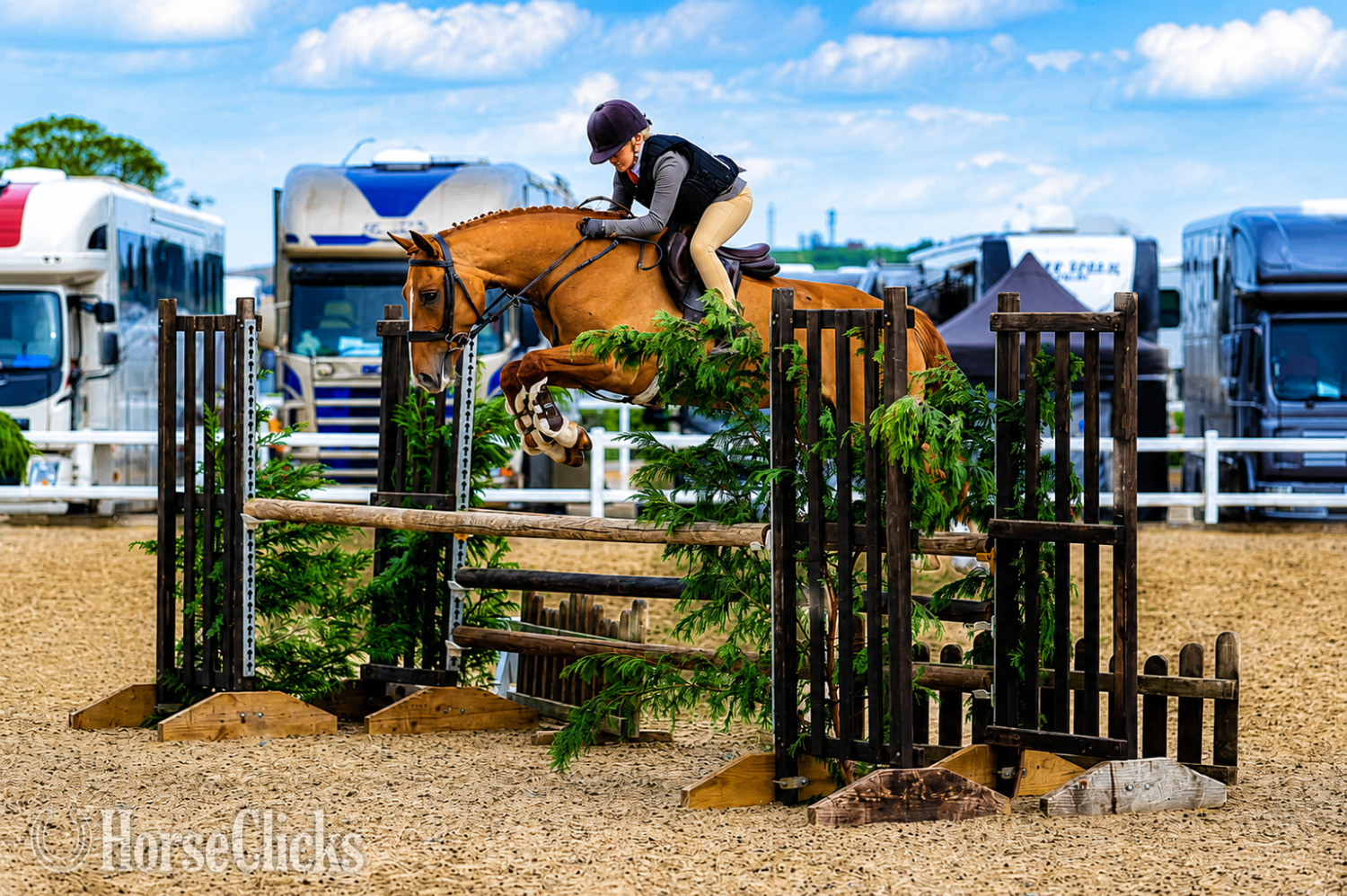 "Caramel" Buckskin Gelding Pony