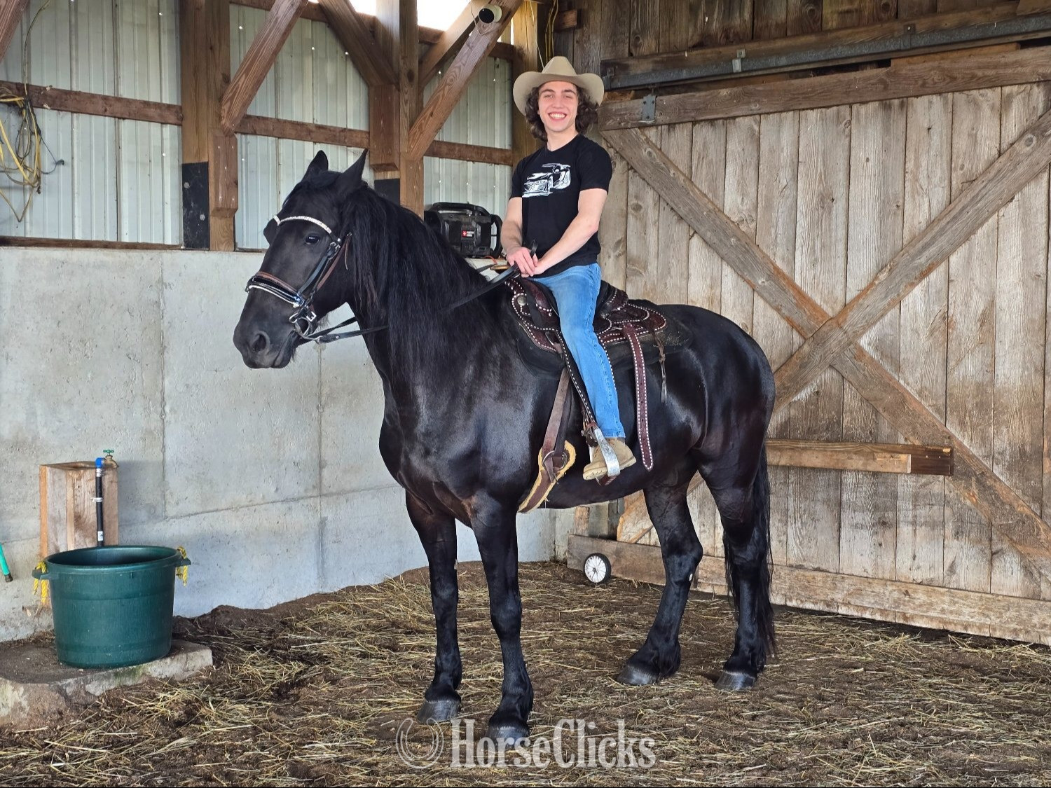 "Hope and Onyx" Black Mare Friesian