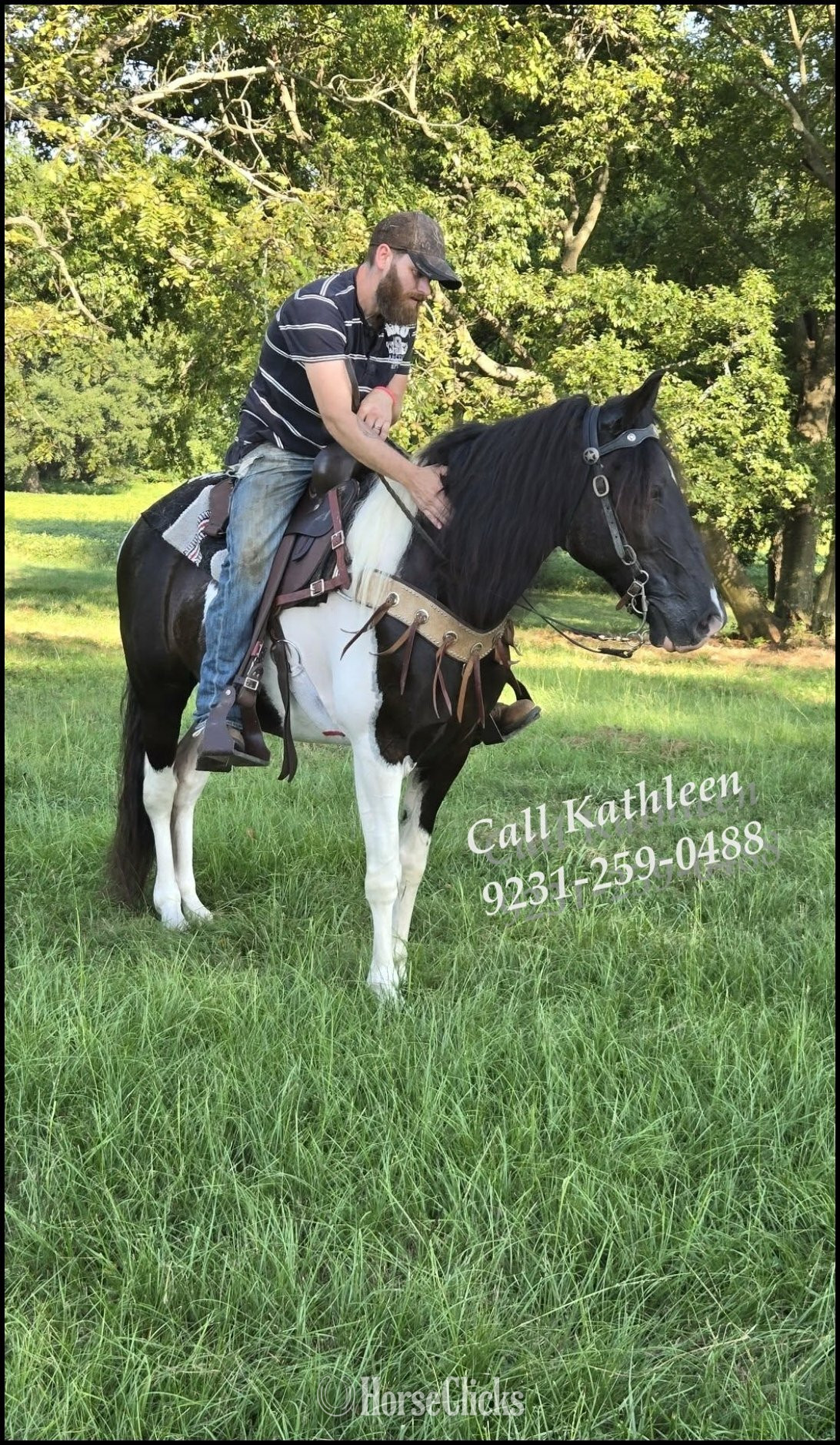 Tennessee Walker - "Dior" Tabiano Gelding Tennessee Walker