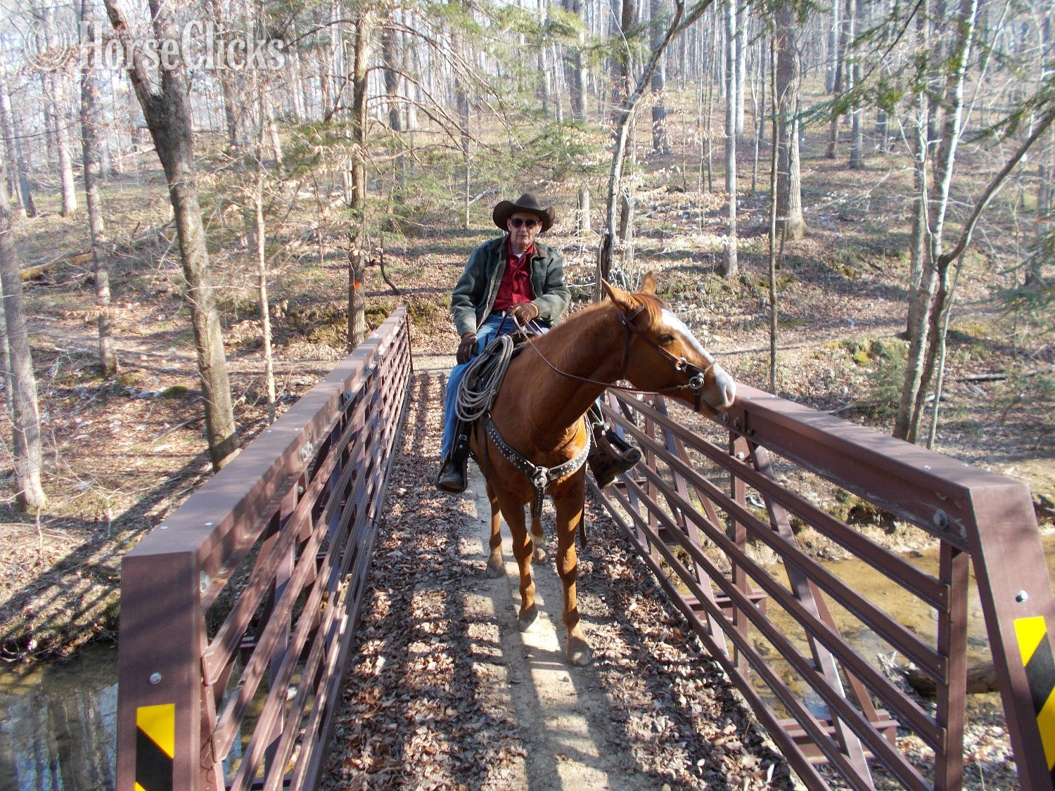 "K W LEO DEL REY"  Gelding Appaloosa - Appaloosa in Alabama