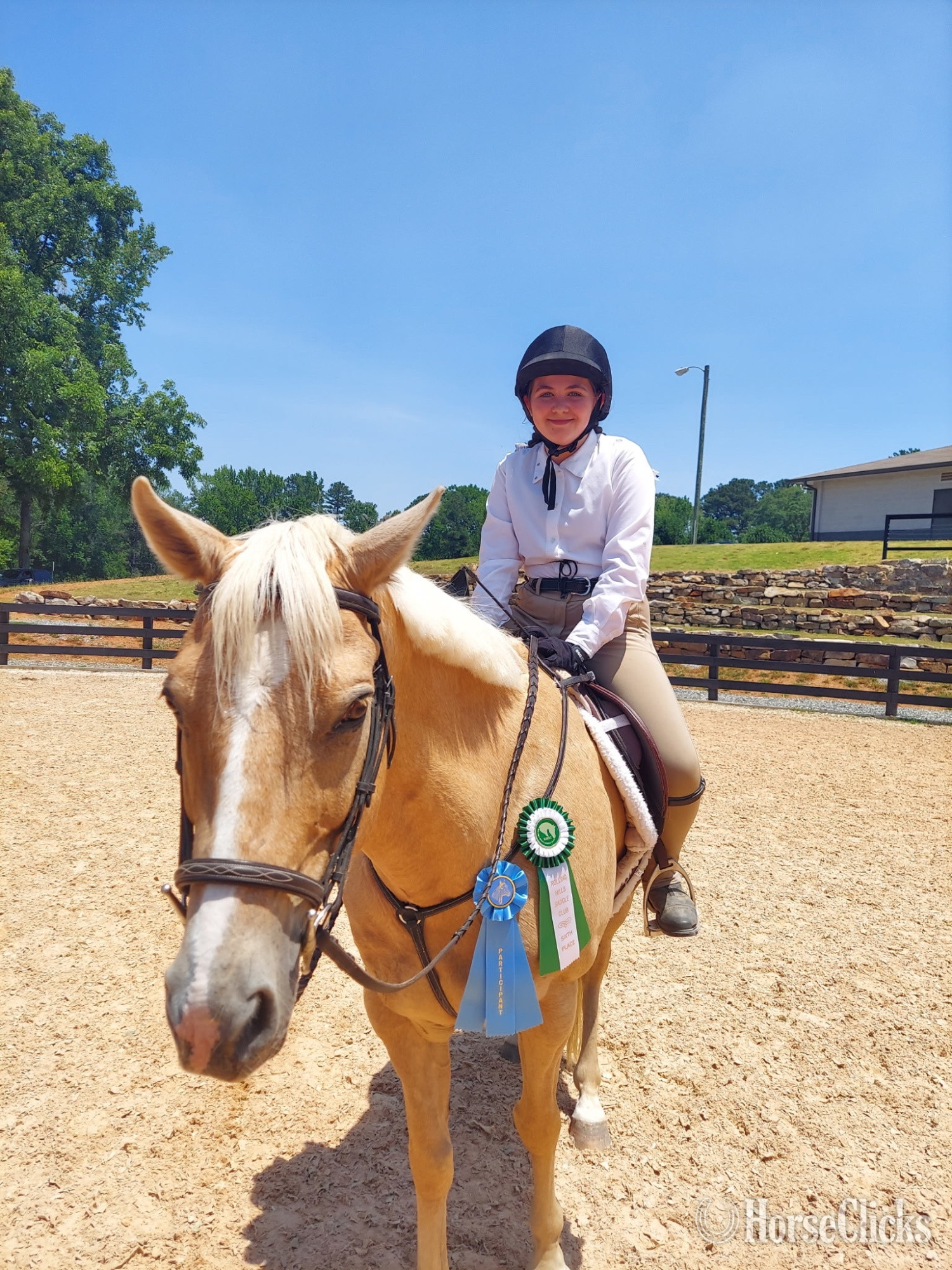 "Daddy Kept His Promise (Promise)" Palomino Gelding Quarter Horse
