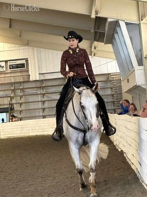 Bay 16hh Gelding for Lease