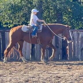 "Zoey" Sorrel Mare Quarter Horse