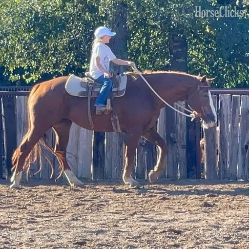 "Zoey" Sorrel Mare Quarter Horse in Texas