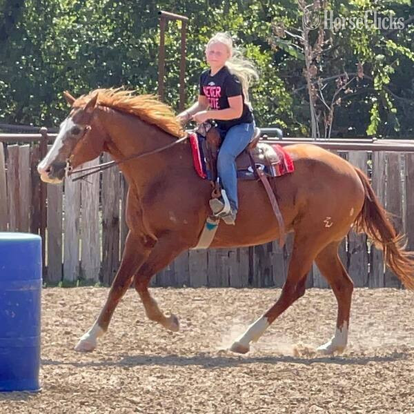 "Zoey" Sorrel Mare Quarter Horse - Quarter Horse in Texas