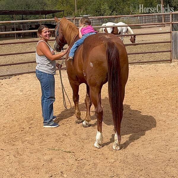 "Zoey" Sorrel Mare Quarter Horse - Quarter Horse