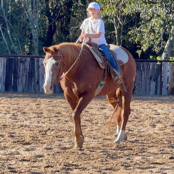 Quarter Horse - "Zoey" Sorrel Mare Quarter Horse in Texas