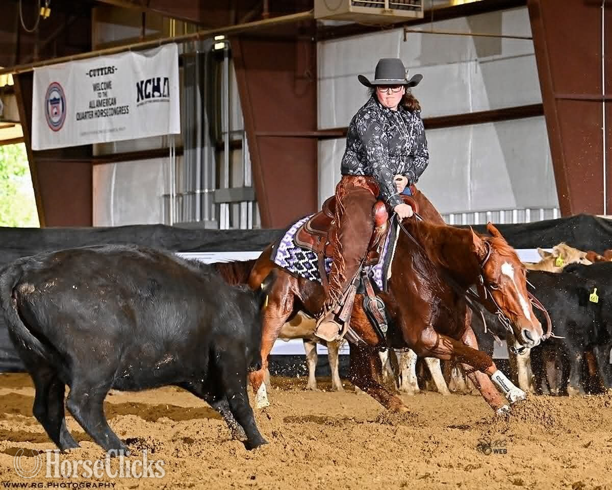 "Flying F Candybar" Sorrel Gelding Quarter Horse in Ohio
