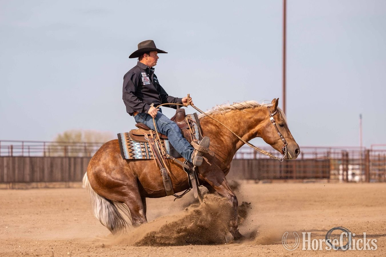 Texas "Paris" Palomino Gelding Quarter Horse