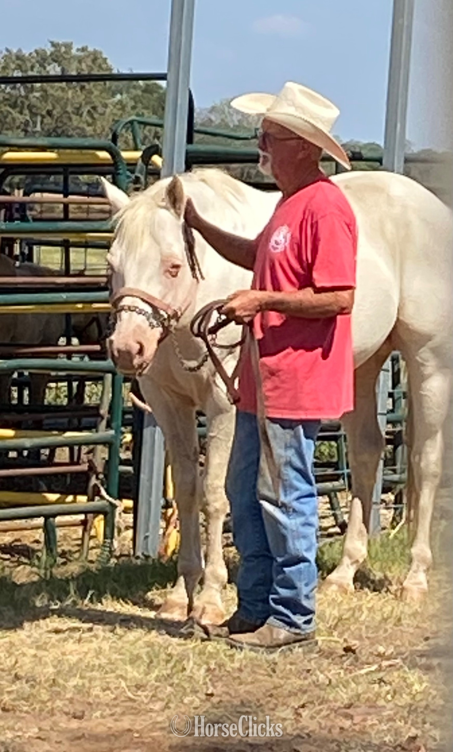 Texas "CREMELLO KING ELVIS" Cremello Stallion Quarter Horse