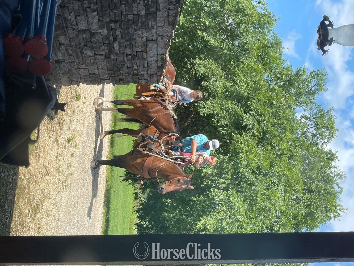 "Boone" Bay Gelding Quarter Horse - Quarter Horse in Arkansas