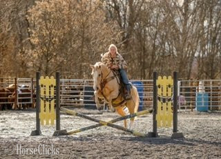 Quarter Horse - "Donovan" Palomino Gelding Quarter Horse