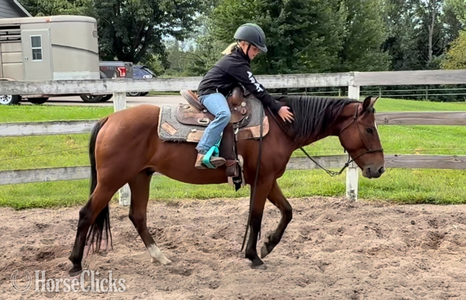 Mustang - "Goose" Bay Gelding Mustang