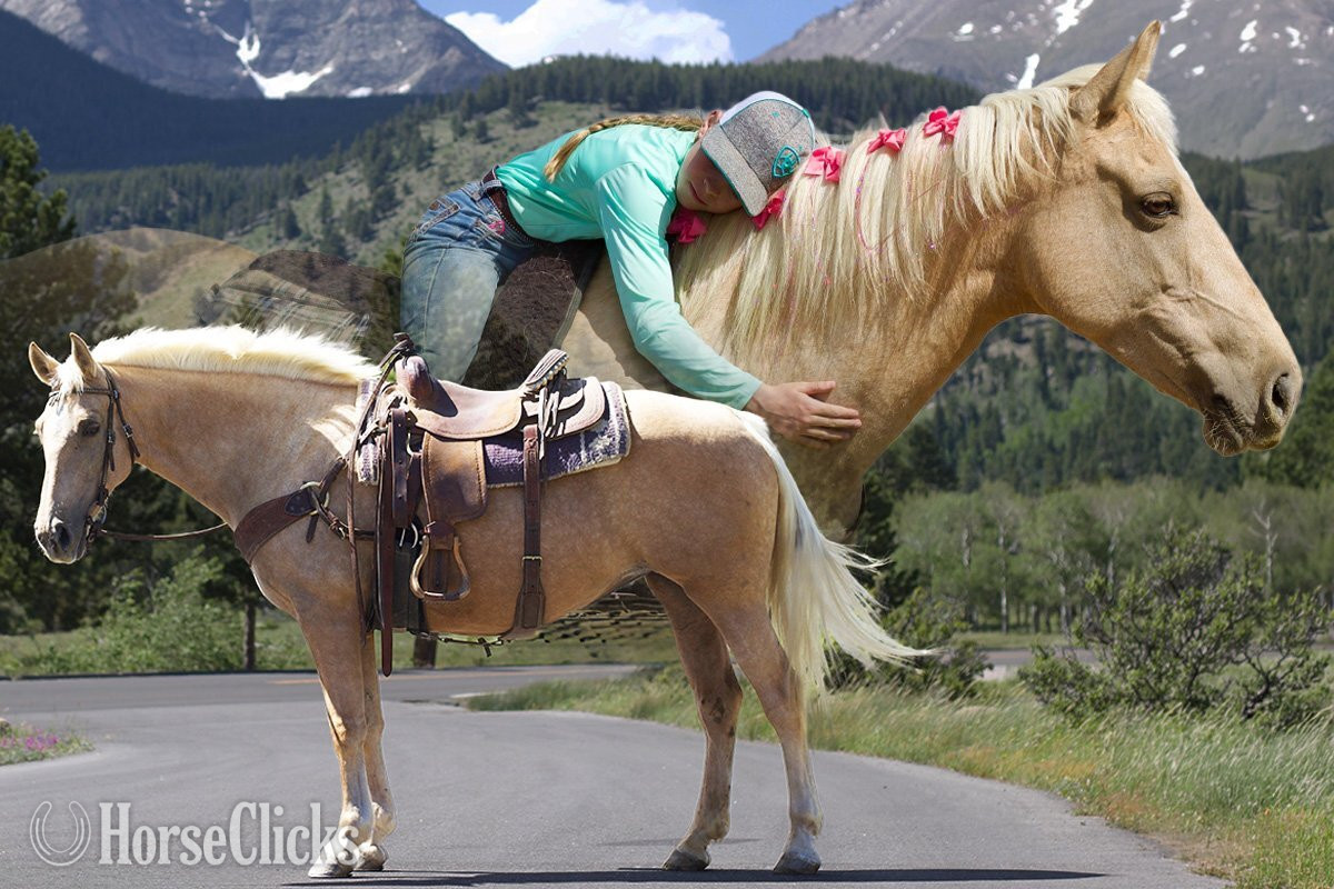 "Rapunzel" Palomino Mare Missouri Fox Trotter in Colorado