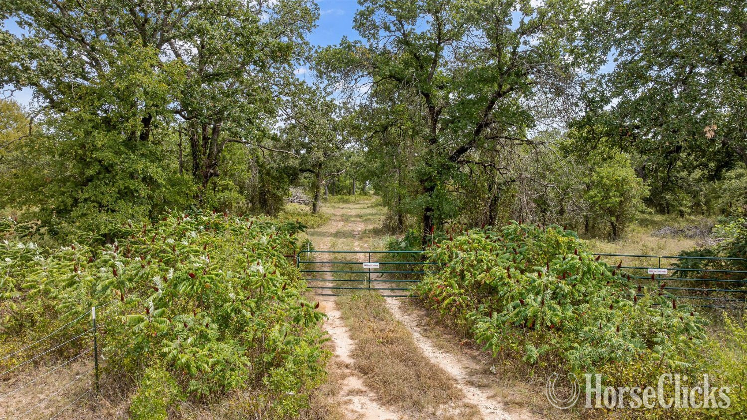 10015 S US-377, Stephenville, Texas 76401 - Land For Sale