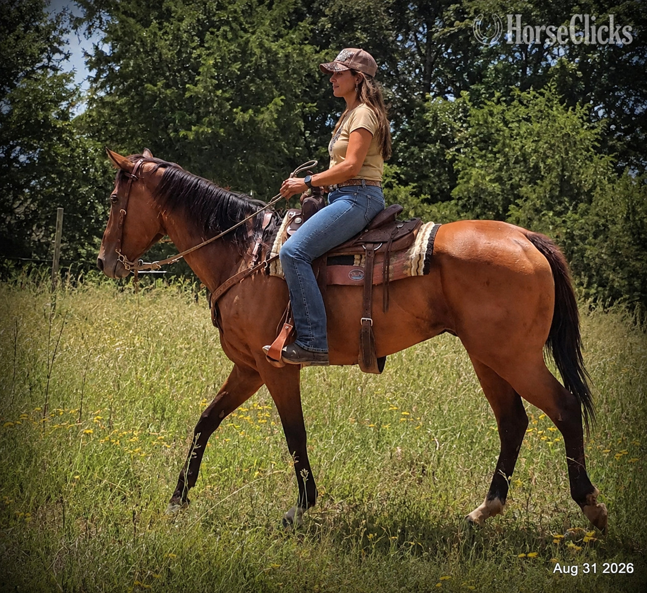 Texas "River" Bay Mare Quarter Horse