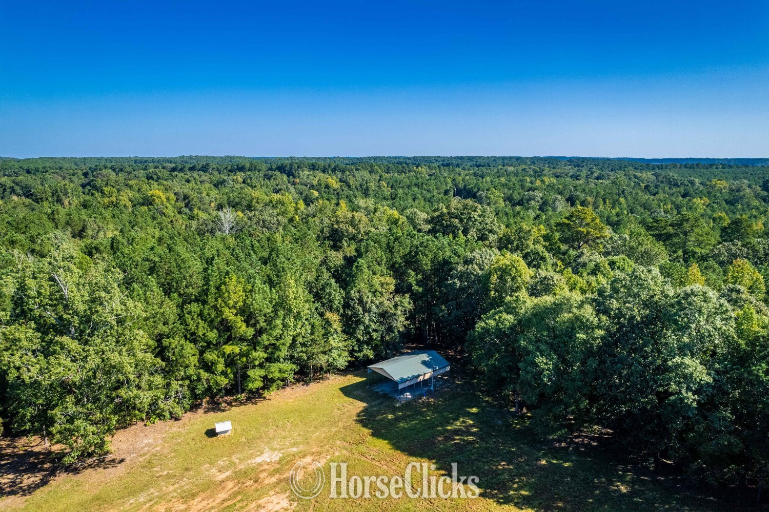 135+ acres in Elberton Georgia