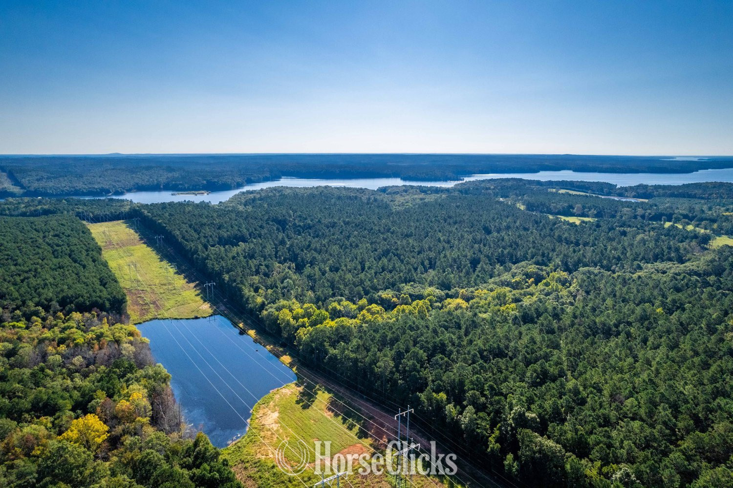 Land For Sale - 135+ acres in Elberton