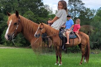 "Cherry" Chestnut Mare Quarter Pony