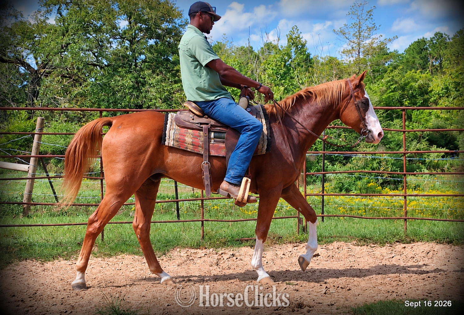 Paint - " Rocky - Kid Safe Family Trail Paint Gel" Sorrel Gelding Paint