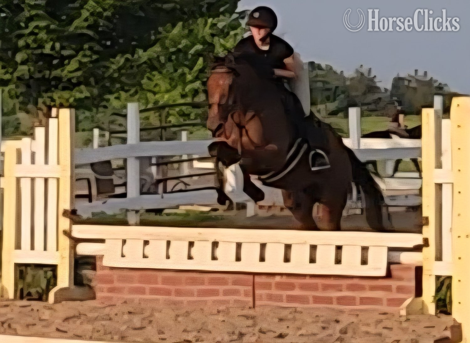 New York "Vosne (Minnie)" Bay Mare Warmblood