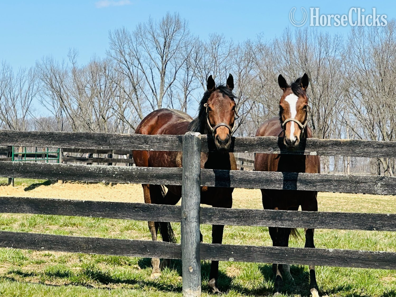 Commercial Property - 80,000 Sq Ft Indoor Arena with Endless Possibilities in Kentucky