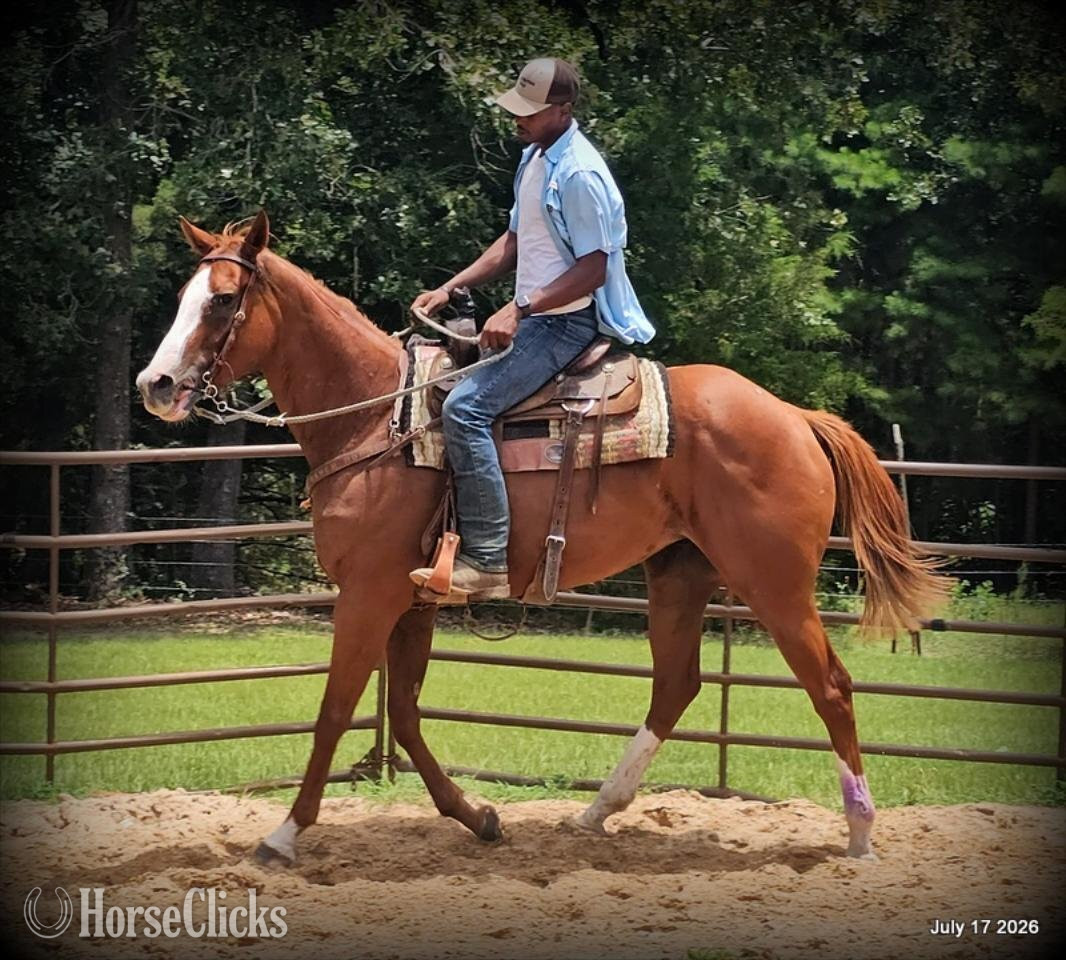 "Mercedes" Sorrel Mare Quarter Horse - Quarter Horse in Texas