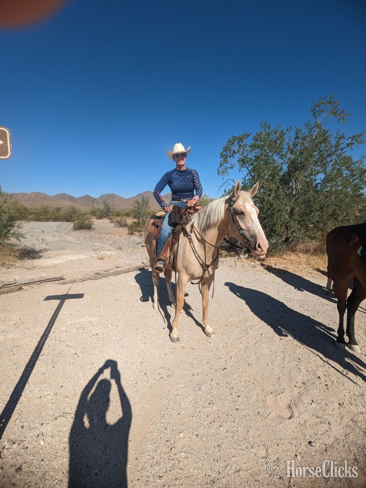 Texas "Peppy’s Poco Dual" Palomino Gelding Quarter Horse