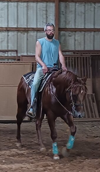 "How D Phenomenal Kid" Chestnut Stallion Quarter Horse