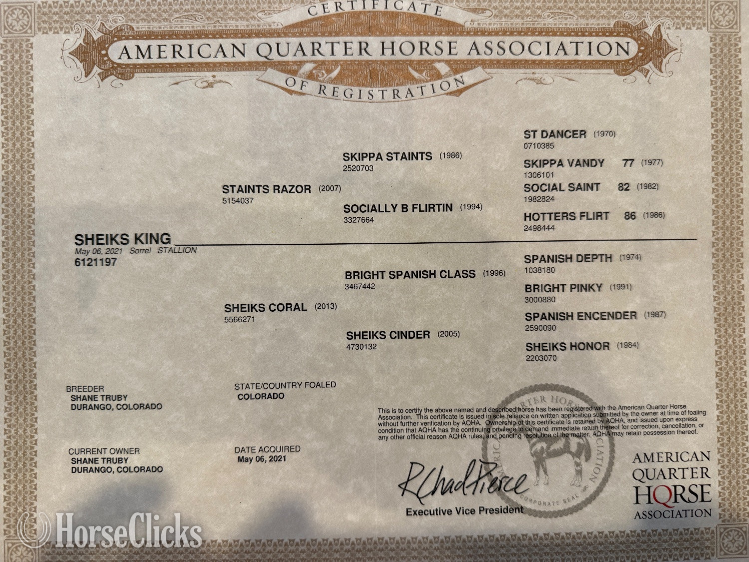 Colorado "Sheiks King" Sorrel Gelding Quarter Horse